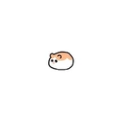sugarr uwu - @sugarr.uwu