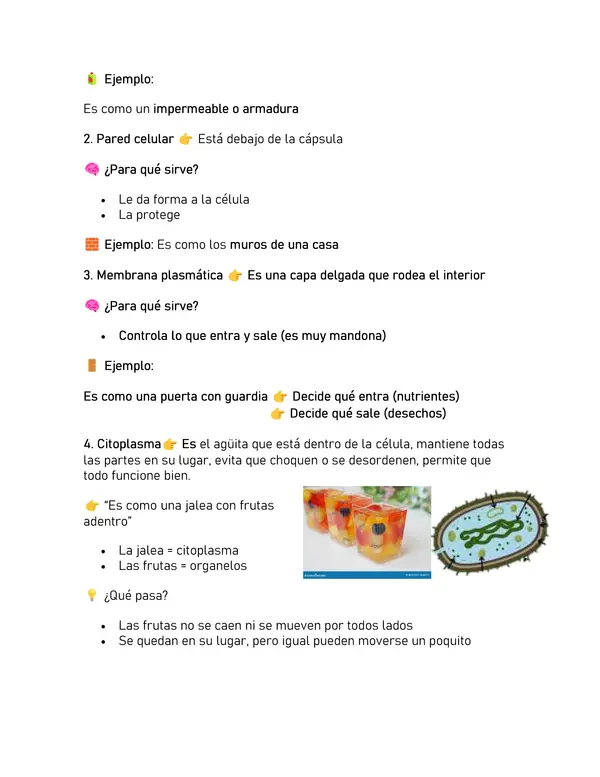 Resumen de preparación 6to Básico Unidad Ciencias Naturales 