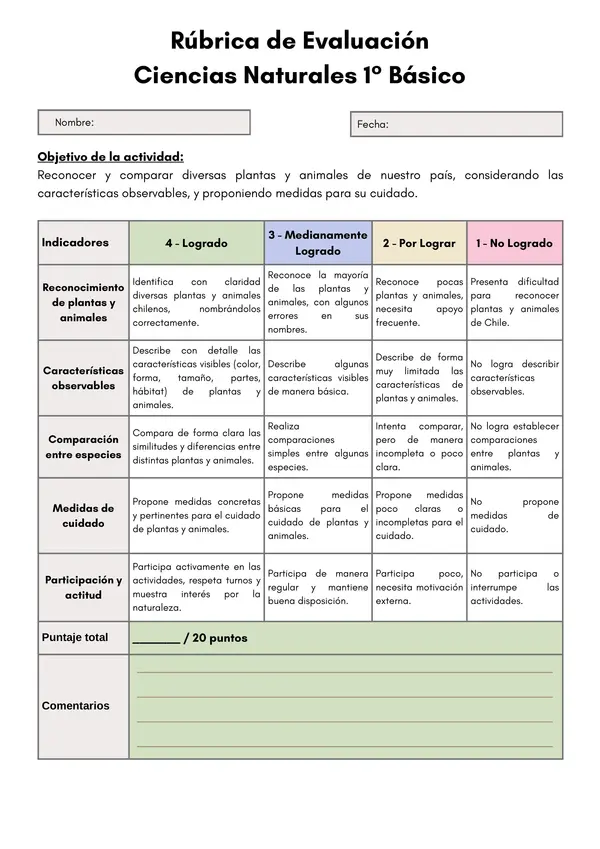Rúbricas de Evaluación – 1° Básico (Objetivos Priorizados)