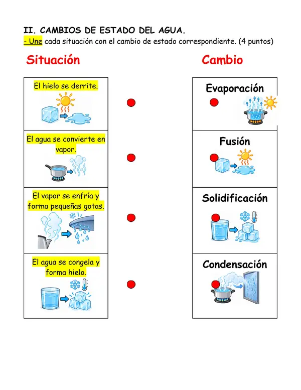 Evaluación Diversificada de Ciencias Naturales 2° Básico | Estados y Ciclo del Agua