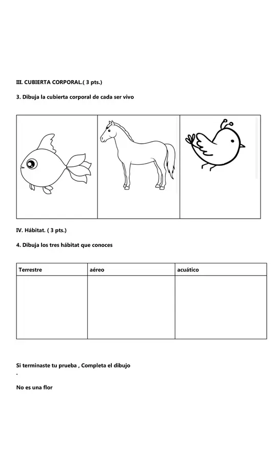 1° básico , Prueba de lo seres Vivos