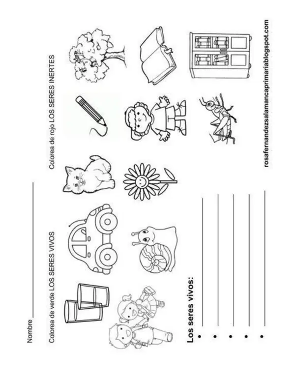 GUIAS DE CIENCIAS NATURALES 