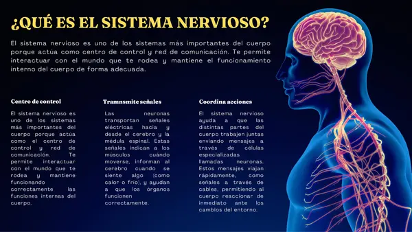 Presentación: El Sistema Nervioso explicado paso a paso