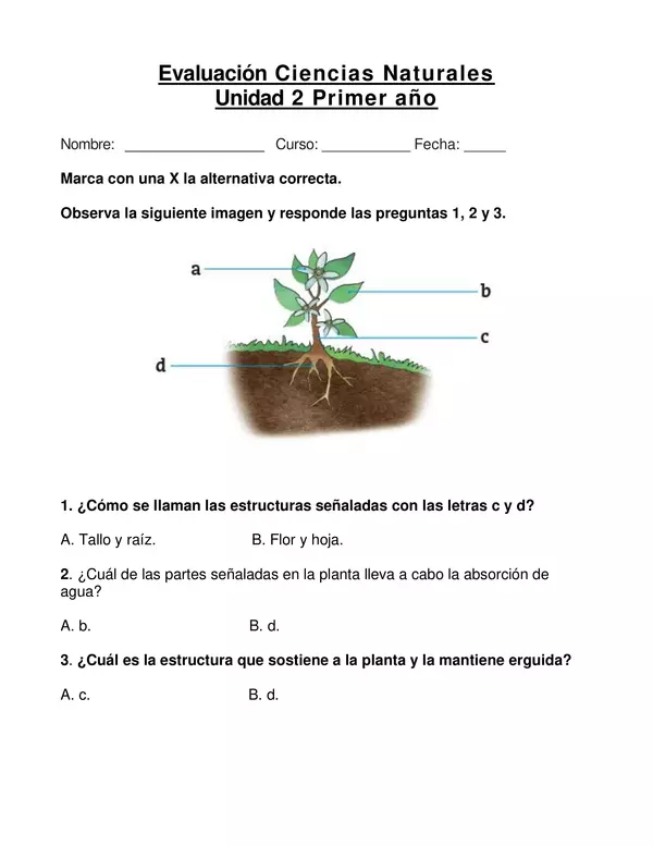 Evaluación ciencias "Las plantas" Primer año