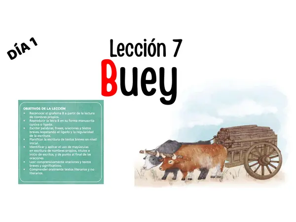 Buey Lección 7 parte 1 Método matte