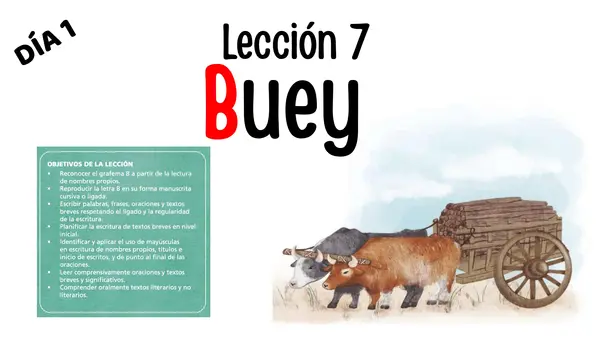 Buey Lección 7 parte 2 Método matte