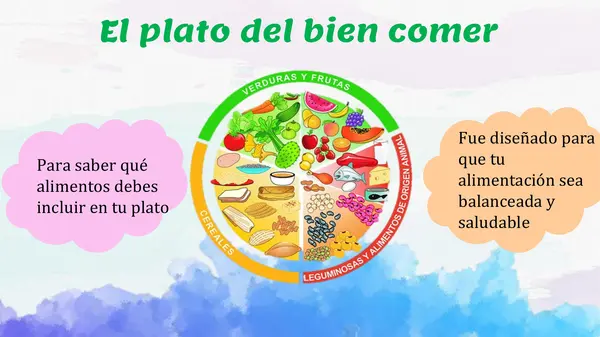 El plato del bien comer