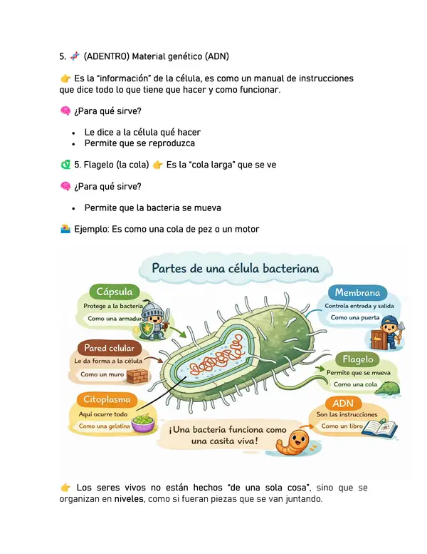 Resumen de preparación 6to Básico Unidad Ciencias Naturales 