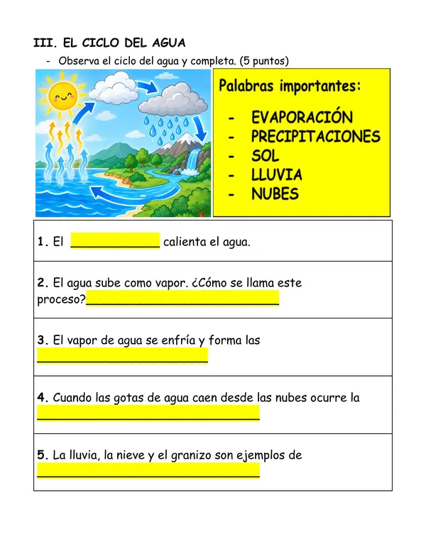 Evaluación Diversificada de Ciencias Naturales 2° Básico | Estados y Ciclo del Agua