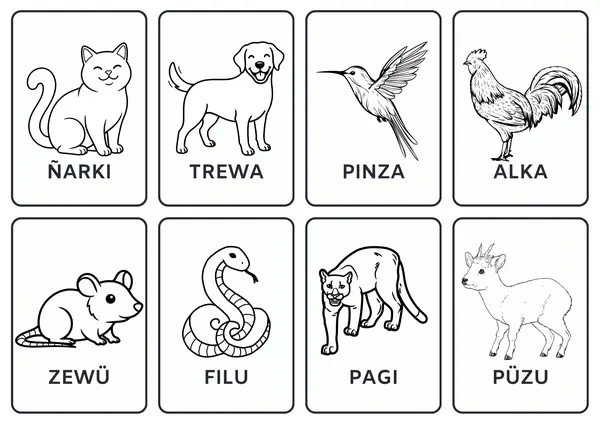 Mi Glosario Visual: Animales en Mapudungun