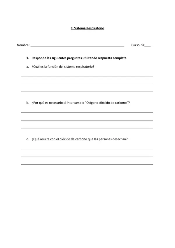 Practica independiente Sistema Respiratorio
