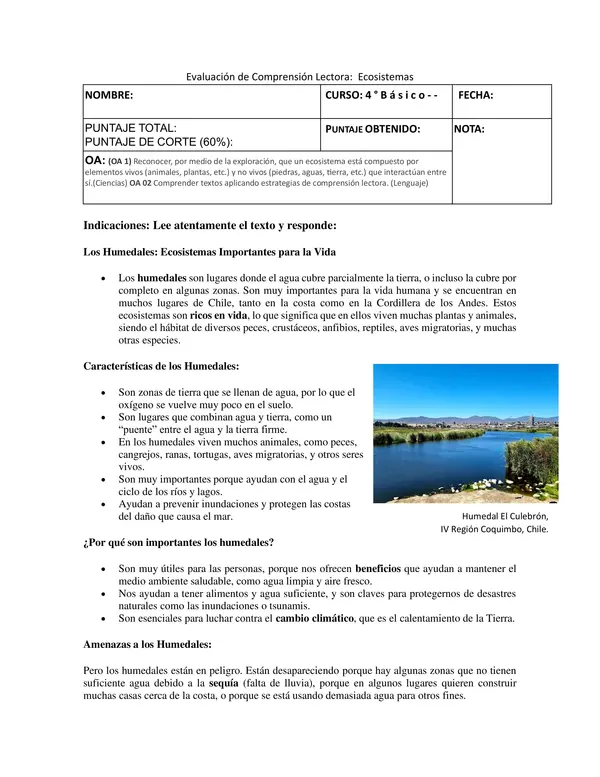 Comprensión Lectora "Los Humedales"