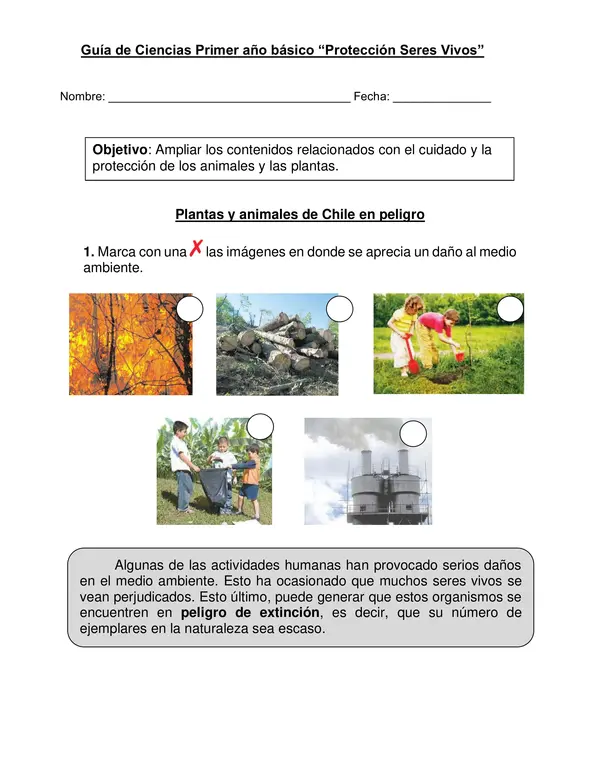 Guía plantas y animales de Chile en peligro primer año básico