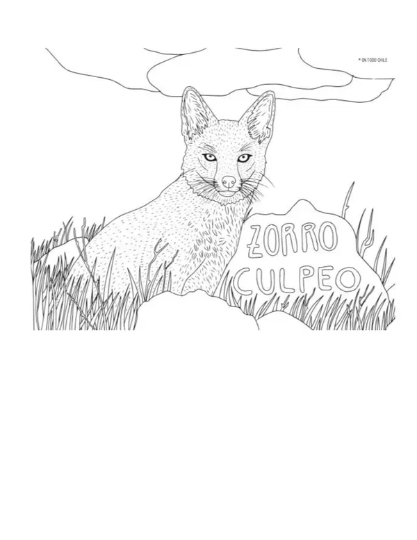 GUIAS DE CIENCIAS NATURALES 