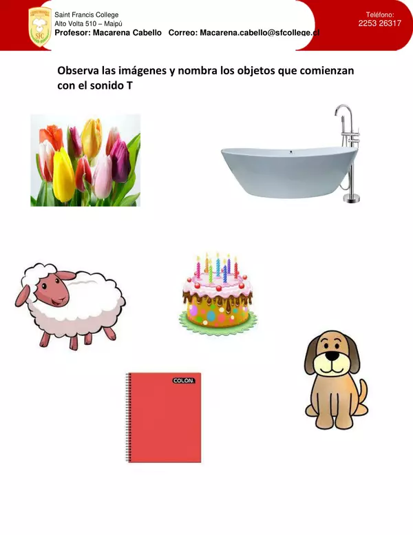 Consonante T