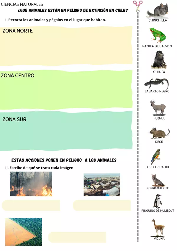 Animales chilenos en peligro de extinción