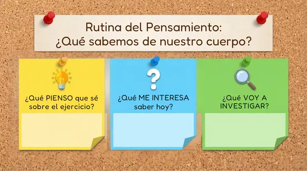 Clase 3 Lección 2 Unidad 1 "Nuestro cuerpo y la actividad" 2 Básico