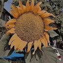 Male Zurita - @male.zurita