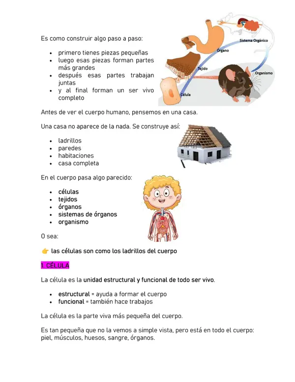 Resumen de preparación 6to Básico Unidad Ciencias Naturales 