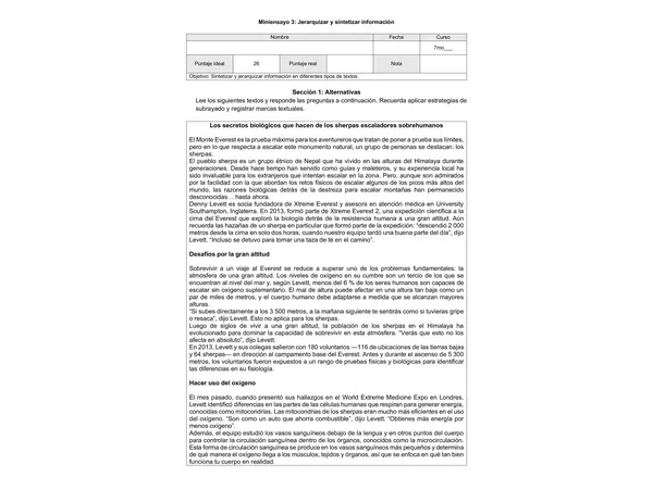 Miniensayo Simce N3 - 7mos y 8vos - Sintetizar y jerarquizar