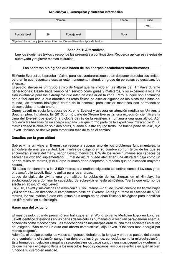 Miniensayo Simce N3 - 7mos y 8vos - Sintetizar y jerarquizar