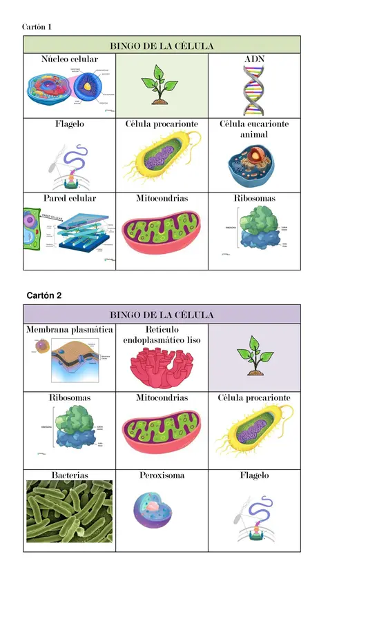 BINGO DE LA CÉLULA
