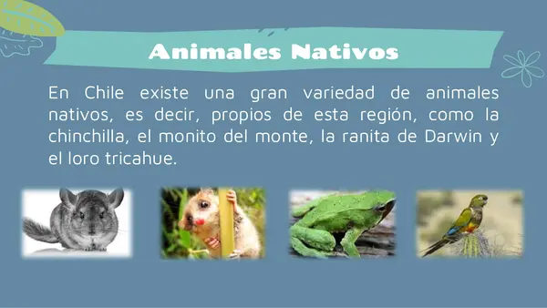 Animales nativos