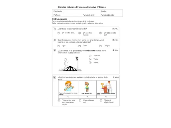 Evaluación ciencias naturales los sentidos 