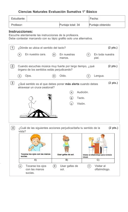 Evaluación ciencias naturales los sentidos 