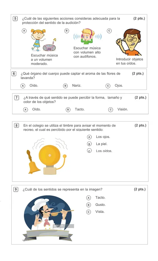 Evaluación ciencias naturales los sentidos 