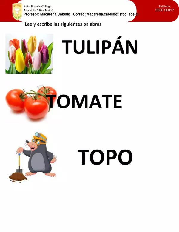 Consonante T