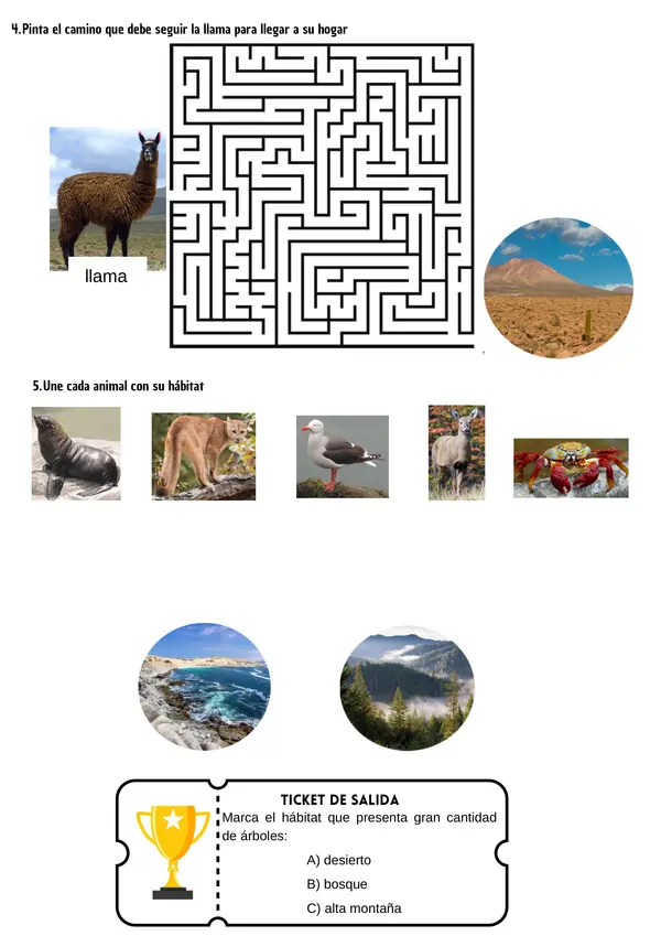  El Hábitat de los Animales Ficha de Ciencias para 2° Básico