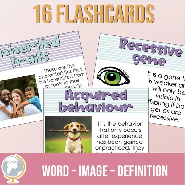 Genetics Vocabulary Flash cards