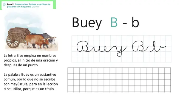 Buey Lección 7 parte 2 Método matte