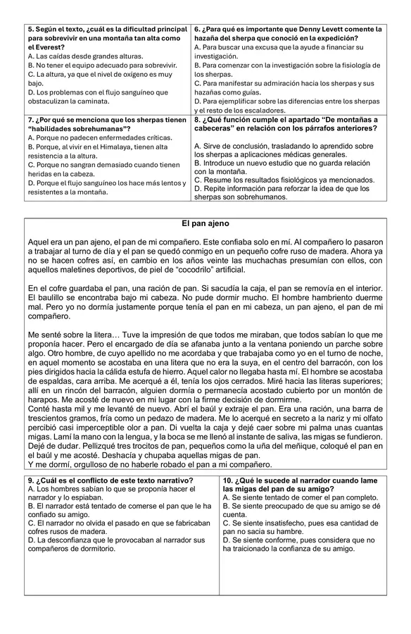 Miniensayo Simce N3 - 7mos y 8vos - Sintetizar y jerarquizar