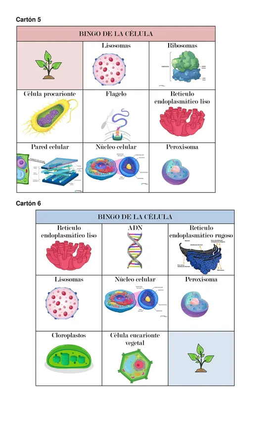 BINGO DE LA CÉLULA