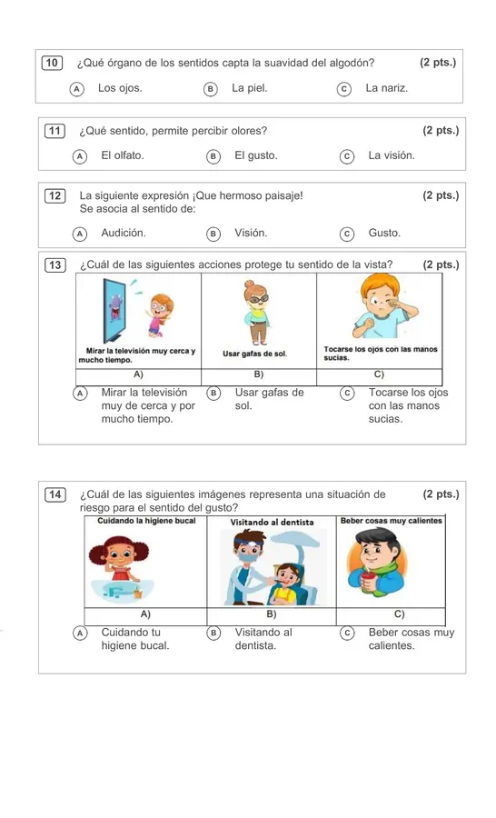 Evaluación ciencias naturales los sentidos 