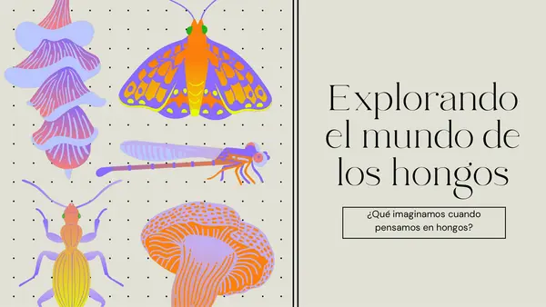 Explorando el mundo de los hongos
