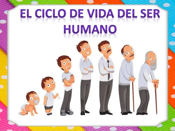 Ciclo de vida seres vivos