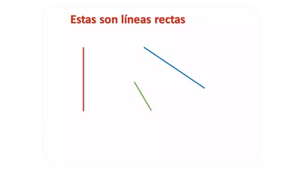 lineas curvas y rectas
