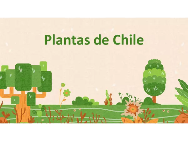 Plantas de Chile- Flora Chilena