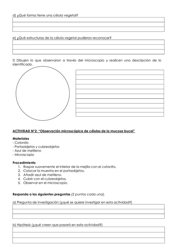 Práctico de laboratorio: observación de célula animal y vegetal