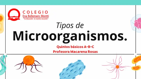 Tipos de microorganismos