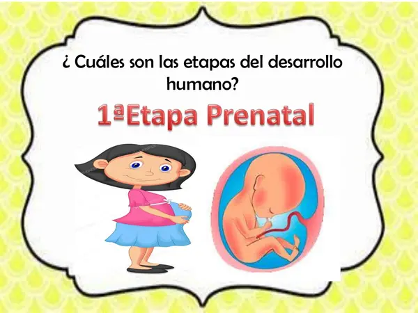 Ciclo de vida seres vivos