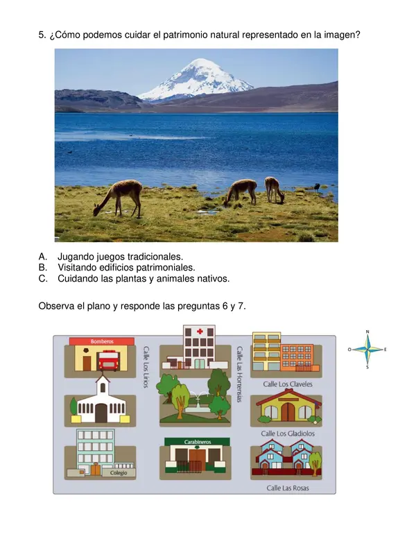 Evaluación segundo semestre de historia, 2° año básico.