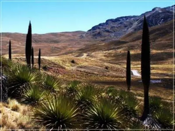 Ecosistema de Chile