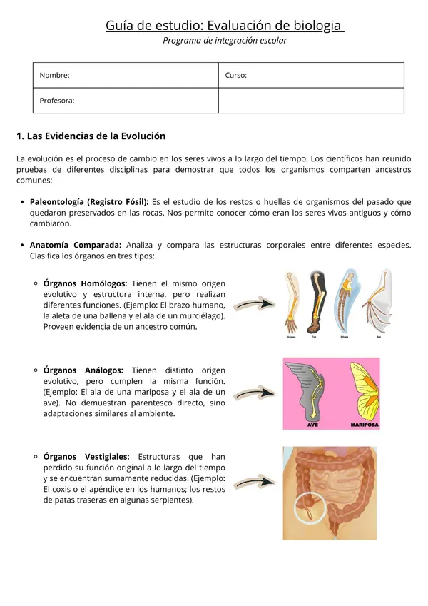 Evolución, fosilización y teorías evolutivas