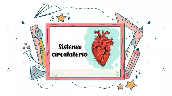 Sistema circulatorio
