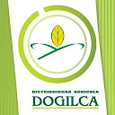 CONTABILIDAD DOGILCA - @contabilidad.dogilca