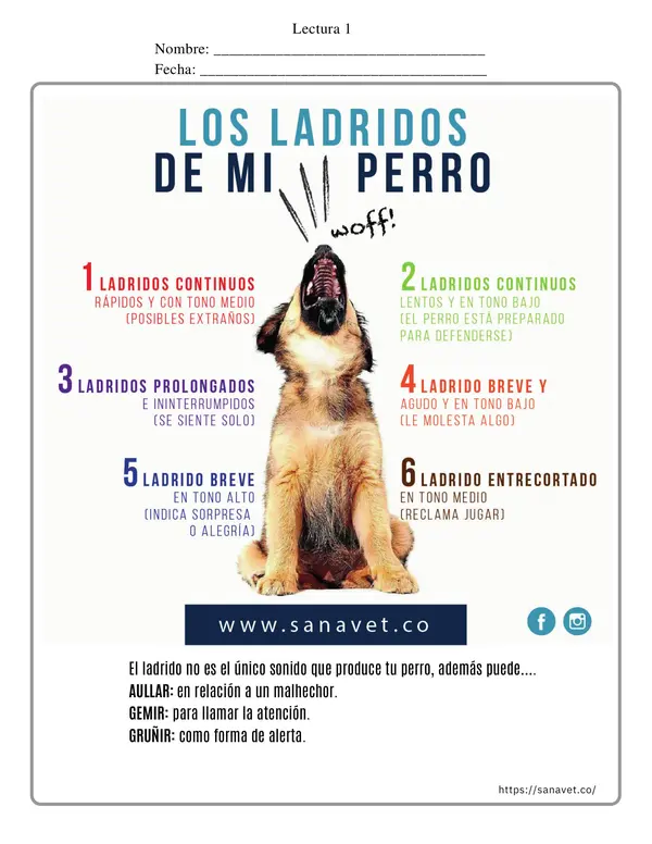 ACTUALIZADO - 24 lecturas diarias tipo SIMCE - 4to básico